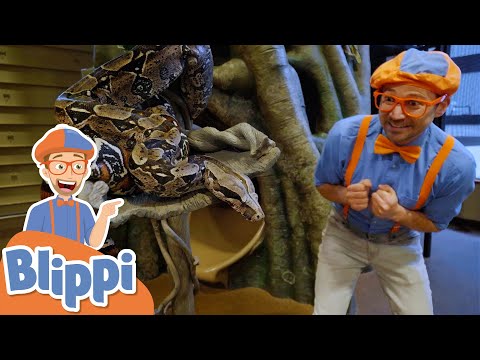 Blippi Plays & Feeds Animals At The Zoo! | Animals For Kids | Educational Videos For Toddlers