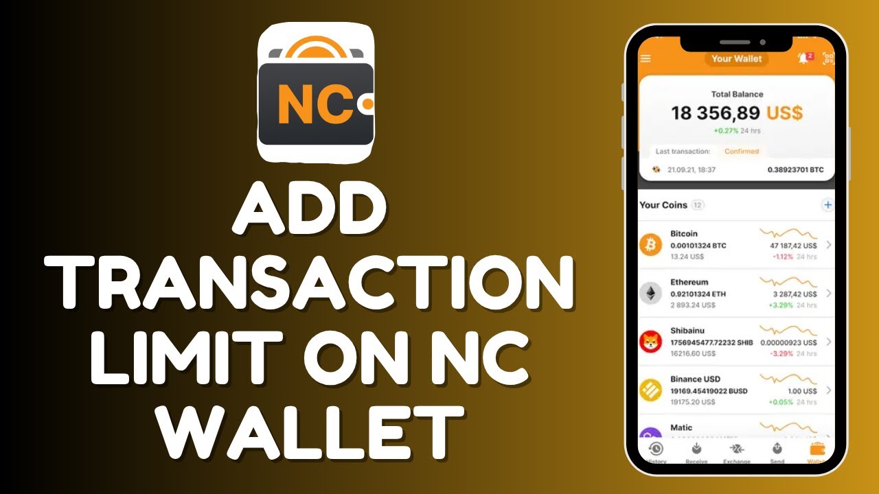 How to Add Transaction Limit on NC Wallet 2025? - YouTube