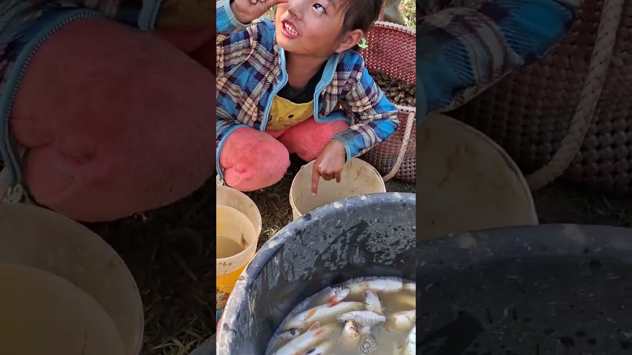Last Family Fishery Pond Standing ||Family Fishing 2026 @maheinaga9214 