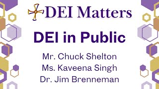 DEI Matters Panel 3: DEI in Public