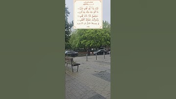 تلاوة للشيخ سعد الغامدي سورة المسد