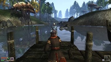 HitchHikers Guide to Morrowind | Transport and Travel