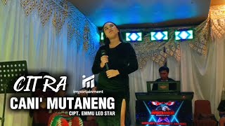 CANI' MUTANENG | CITRA | CIPT. EMMU LEO STAR | Lagu bugis