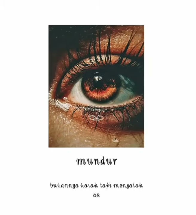 STORY WA LITERASI 30 DETIK // mundur alon alon