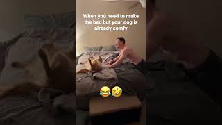 She looked so offended 🤣