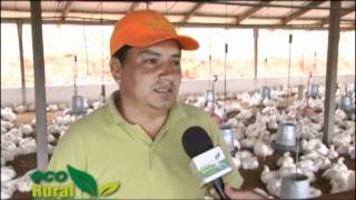 Eco Rural Tv Avicultura en Mairana.f4v
