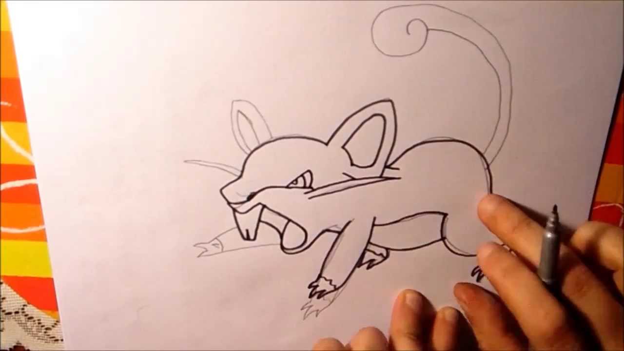 Simple Rattata Drawing Drawing Rattata #19 - YouTube