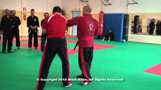 Full Mark Kline Body Dynamics Trailer.mov News