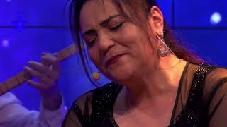 Gülcihan Koç - Bir Acı Rüzgar Esince
