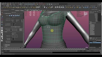 Cloth Modeling
