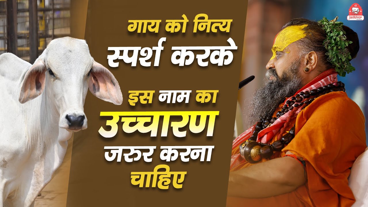 गाय का नित्य स्पर्श करके इन दो नामों उच्चारण जरूर करना चाहिए | Shri Rajendra das ji maharaj |