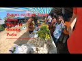 Шри Ланка 2022 Рынок цены на фрукты, овощи и морепродукты