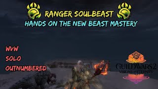 GW2 Beast Mastery Just Got Better? Ranger Soulbeast Solo Roaming [ Outnumbered ] -2026-