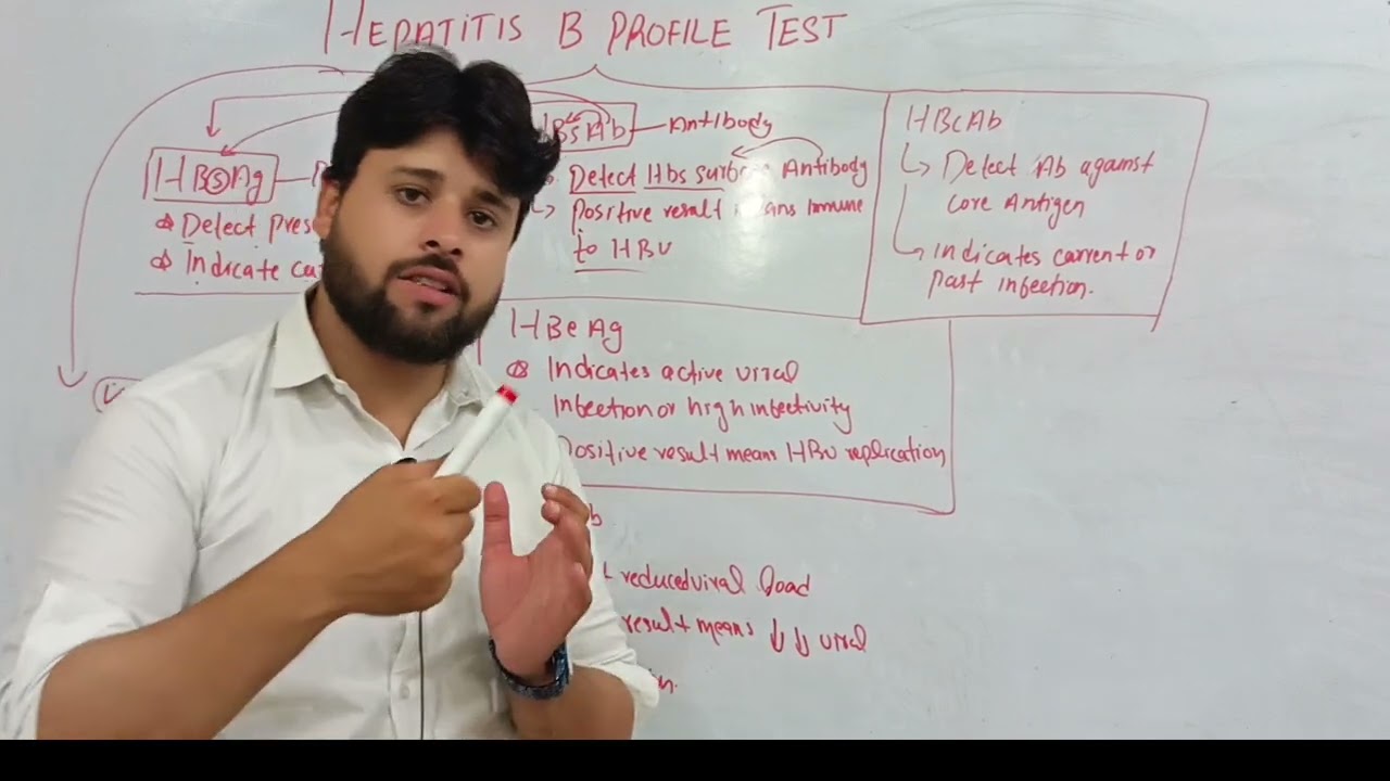 Hepatitis B Profile Test (HBsAg, HBsAb, HBeAg, HBeAb, HBcAb)