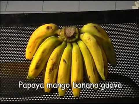 Video Perform Kak Novi \u0026 Jane Callista - Pepaya Mangga Pisang Jambu
