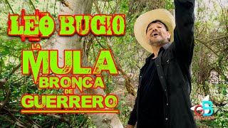 "La Mula Bronca El Corrido" Leo Bucio Video Músical