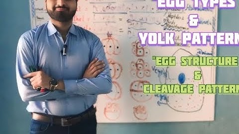 "Types of Eggs Based on Yolk Distribution | Egg Structure & Cleavage Patterns Explained"