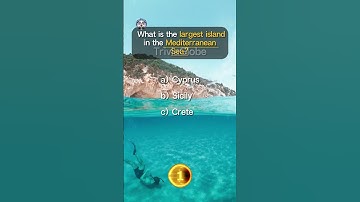 How Many Answers Can You Get Right in One Minute? #triviatime #shorts #foryou