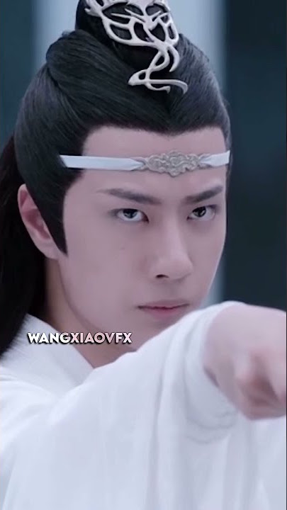 Wang Yibo VS Hanguang Jun (TikTok: wangxiaovfx)