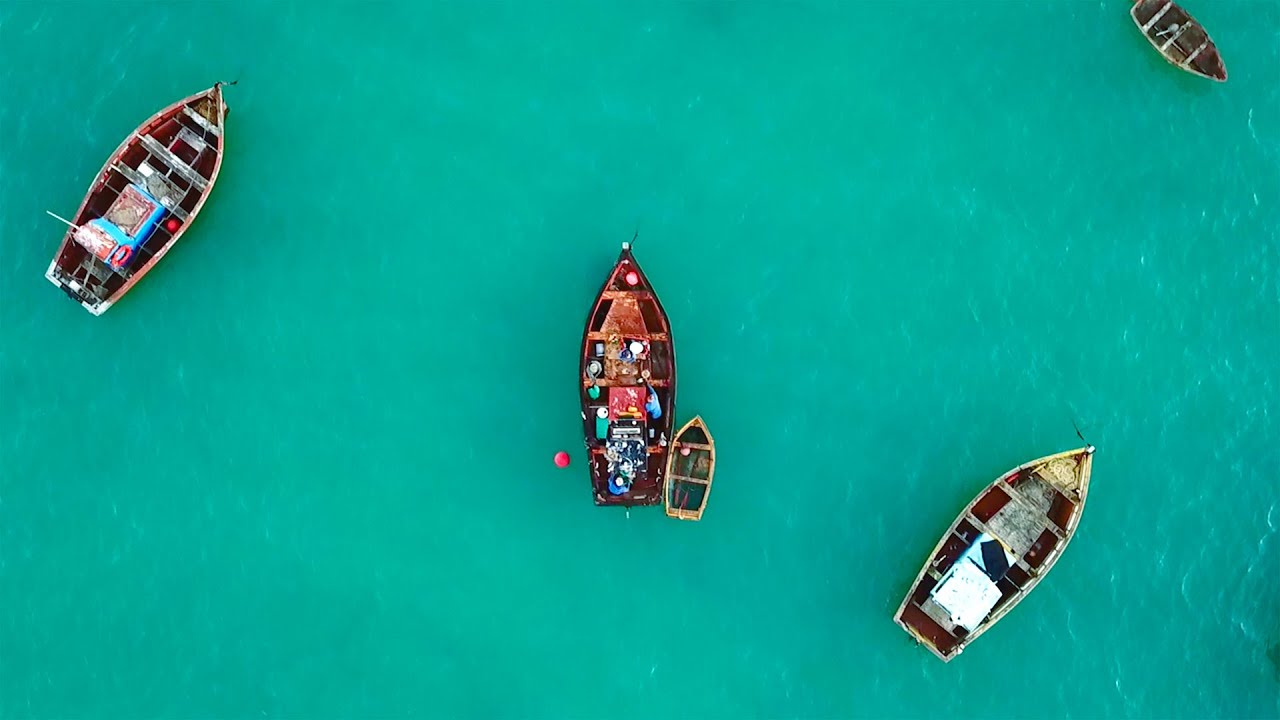 Small-scale fishers of South Africa