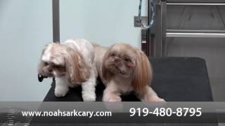 Welcome to Noah's Ark Veterinary Hospital of Preston P.A.