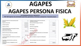 AGAPE PERSONAS FISICAS 2023 ACTUALIZADO