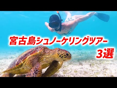 今回は沖縄の宮古島にある八重干瀬で終日シュノーケリングツアーを満喫致しました!