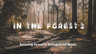 [ Study Sleep Relax🌳 ] In The Forest 2 1H 🌲  Relaxing Acoustic Background Music (Royalty Free)