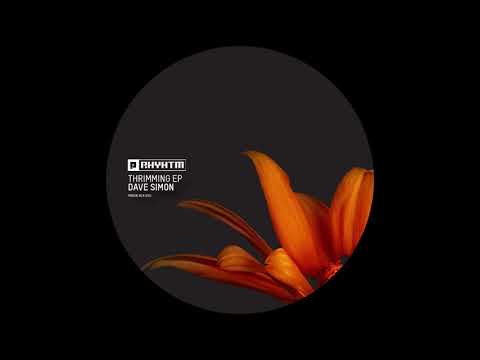 Dave Simon (4) — Dave Simon - Lingo [PRRUKBLK035]
