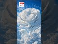 Rose Cloud ☁️