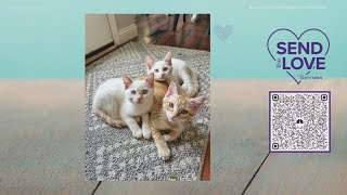 Send the Love: Alliance for Responsible Pet Ownership