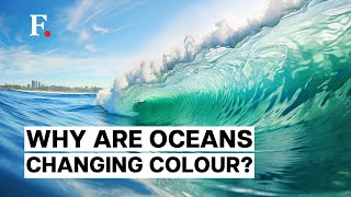 New Study Reveals Oceans Turning Greener In The Last Two Decades Due To Rising Temperatures