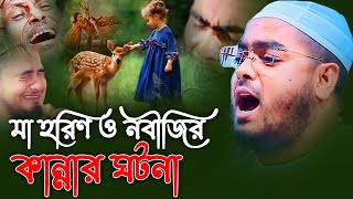 জঙ্গলের প্রানীরাও নবীজিকে ভালোবাসতেন,হাফিজুর রহমান সিদ্দিকী কুয়াকাটা,hafizur rahman siddiki kuakata