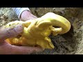 Hunting Treasures Beneath the Caribbean Sea!