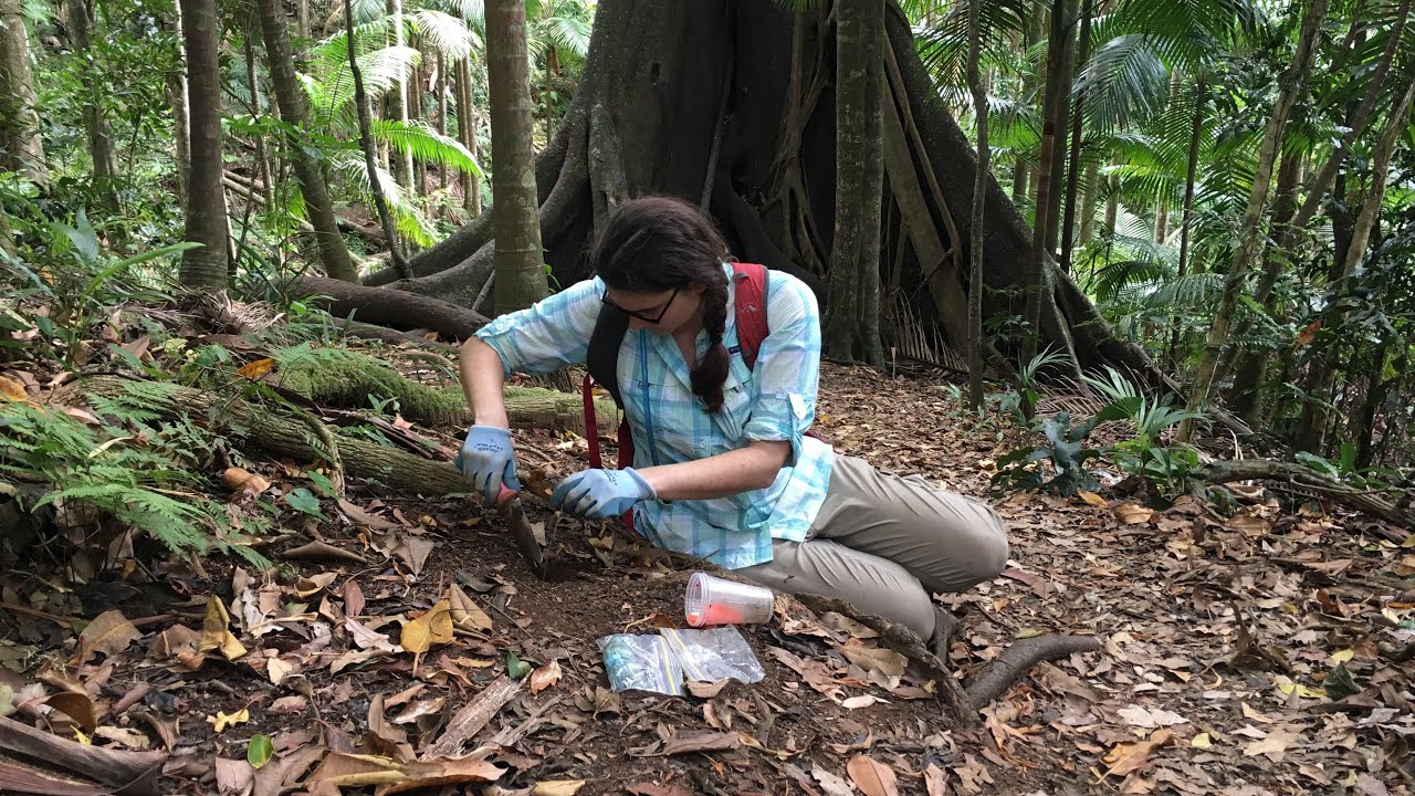 museums in london Women In Science - Dr. Nicole Gunter, Entomologist