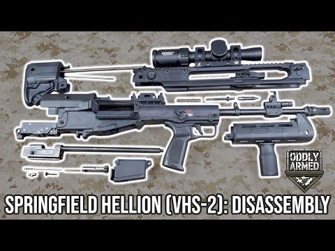 Springfield Hellion (VHS-2): Disassembly