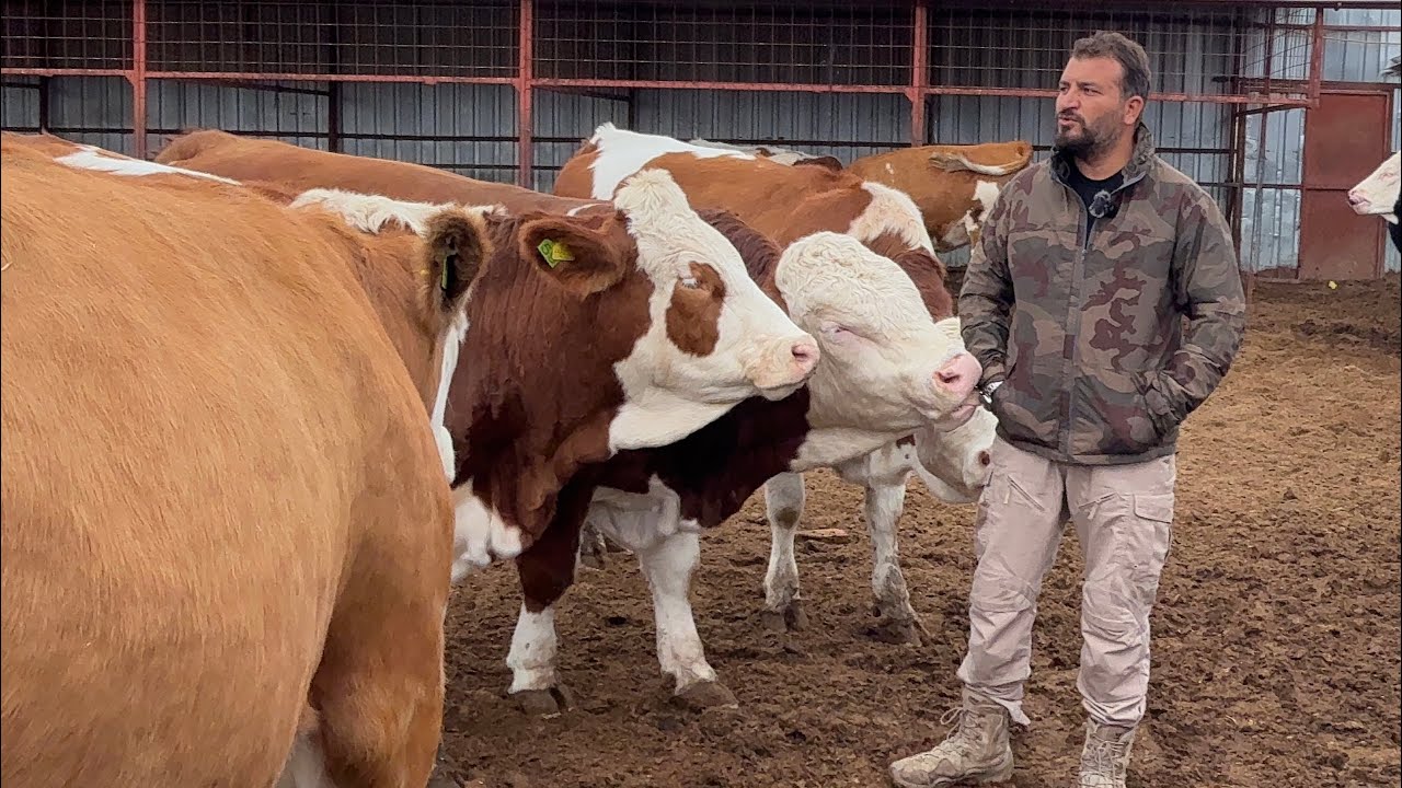 GERİ DÖNME ŞANSIM YOKTU