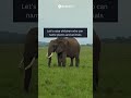Raise kids with nature | Zerony reel