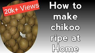 How i make chikoo(sapota) ripen in winter. screenshot 2