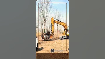 Tree Transplanter Tool Innovation with Excavator Technology