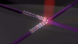 World's first ultra-fast photonic computing processor using polarization