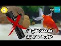 هل ممكن أطفي فلتر حوض سمك الزينه بالليل