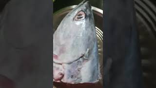 fish thalacurry choora fishcurry keralastyle