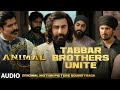 Animal bgm tabbar brothers unite harshavardhan r  ranbir k sandeep v bhushan k