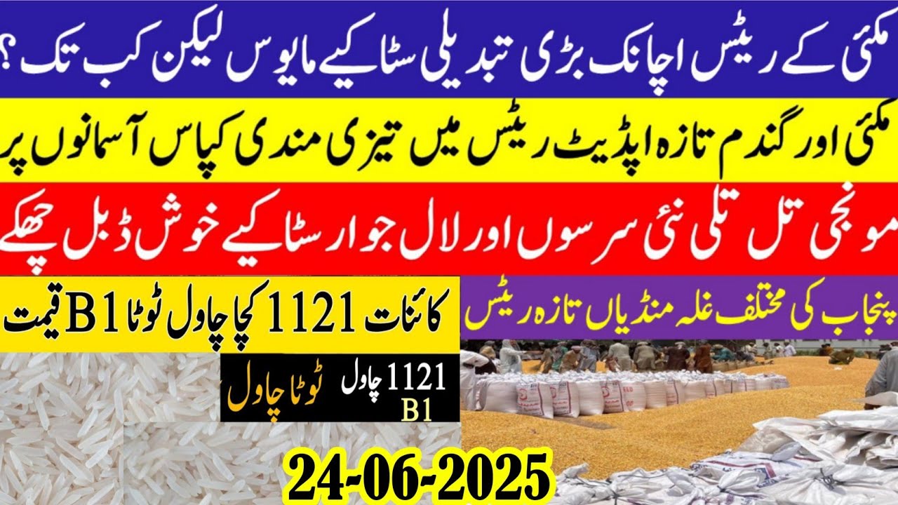 Wheat price in Pakistan/Maize price today 2025 |Munji rates 2025|Galla ...