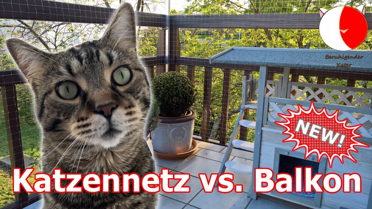 New! Balkon mit Katzennetz absichern! (DIY)