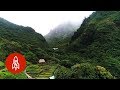 Explore the Valley Protecting Hawaii’s Ancient Plants