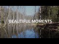 🌼 BEAUTIFUL MOMENTS 🌼 / WUNDERSCHÖNE MOMENTE / Drone Footage / DJI Mavic Mini // theTechtwo