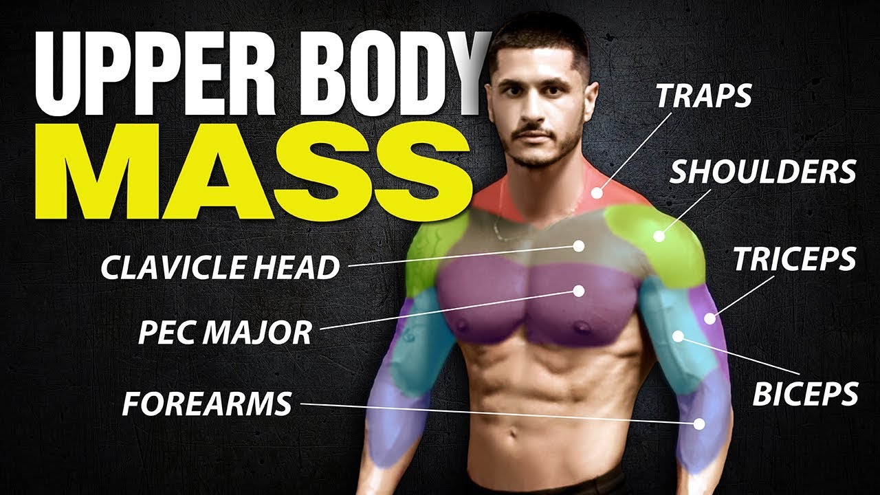 The 4 Best UPPER BODY Workouts for Mass (Chest/Shoulders/Back/Arms