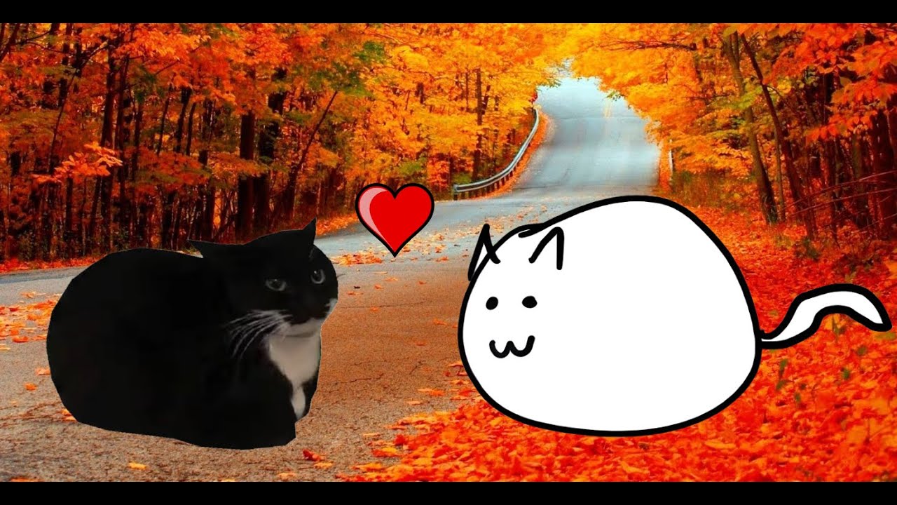 [Beat Saber] this is what falling in love feels like - Expert | Mapped by RaccoonVR | FC 97.18%